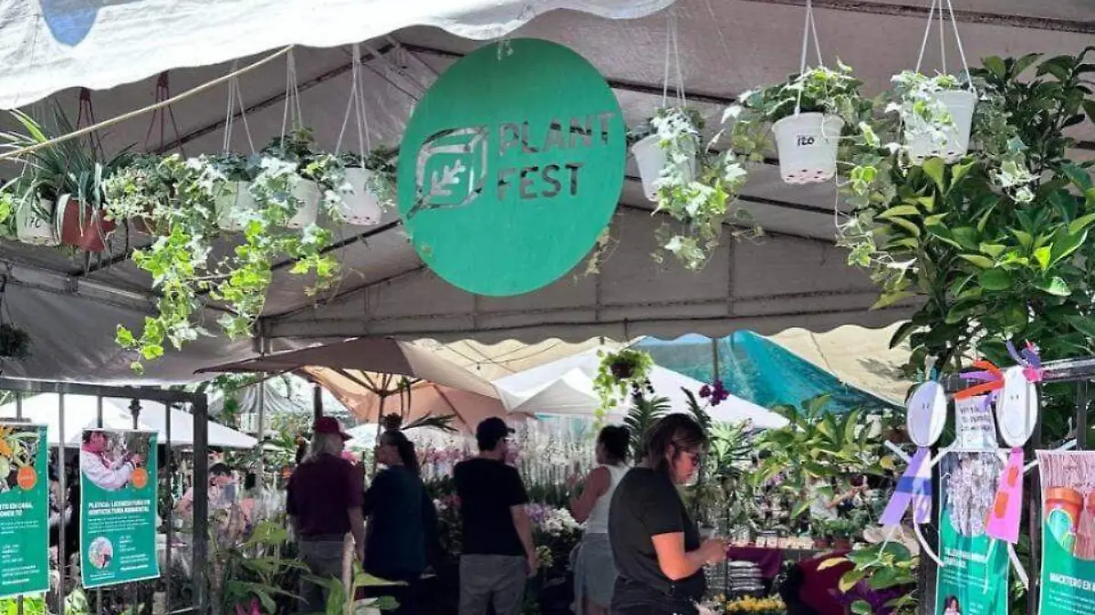 Plant Fest Facebook